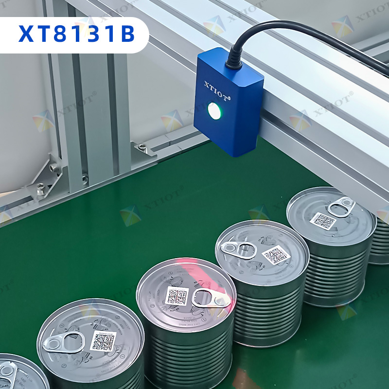 XT8131B Conveyor Scanner